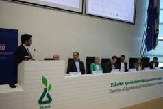 Mini IMG 4354